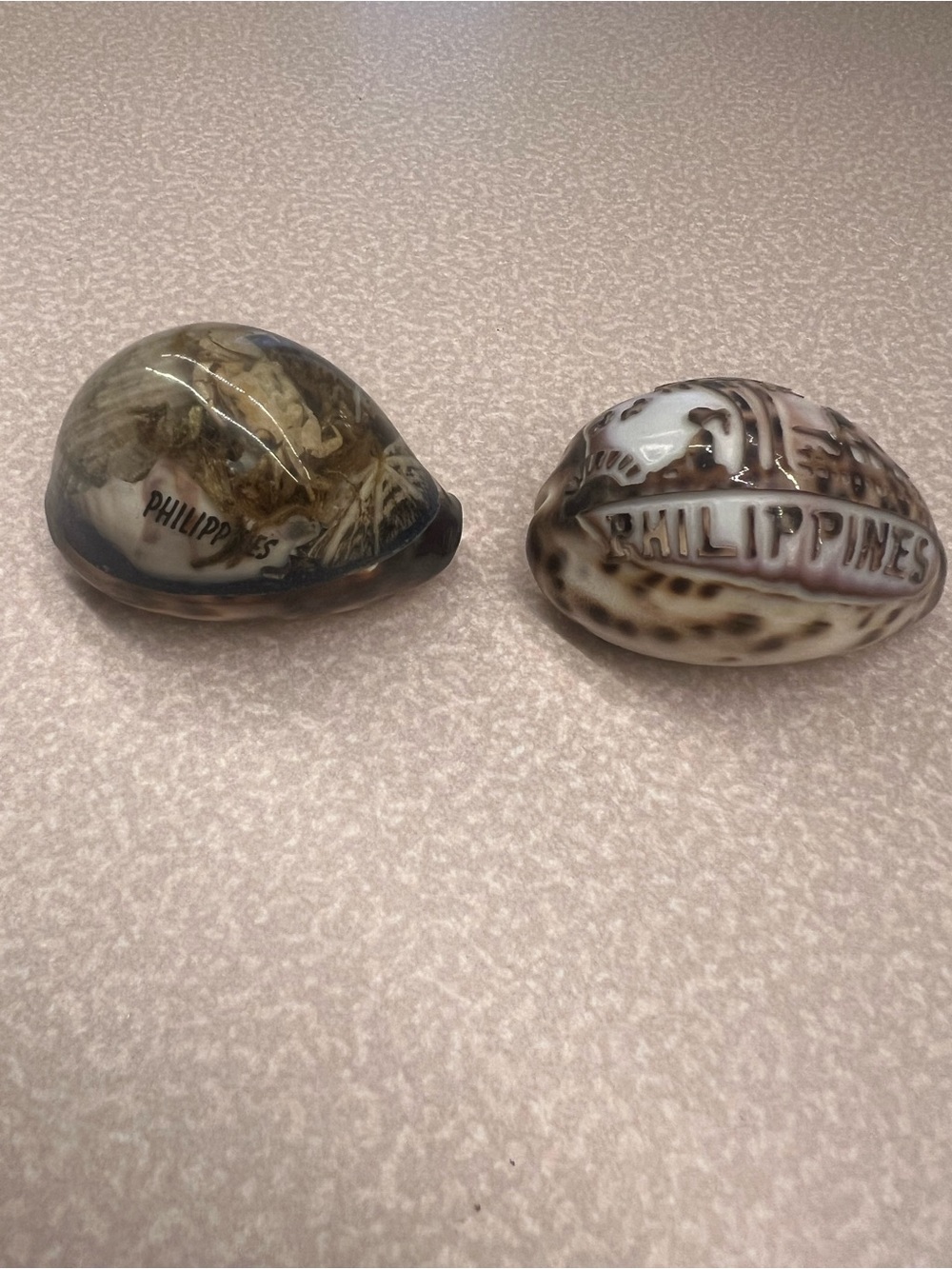 Philippines Ceramic Cowrie Shell Decor - Brown & Cream